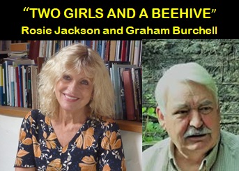 Two Girls and a Beehive poster