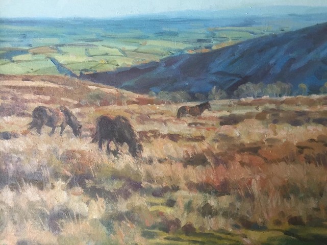 Colin Allbrook - Ponies on the Moor